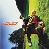 オルタナとポップの両立。これに尽きる。【HAPPY BIVOUAC ON THE HILLARI STEP/the pillows（1999）】