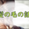 人生初の白髪染めをしてみた話と編み込みしている最近の雑記