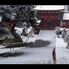 雪の神社