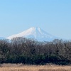 【ライド】今年の走り納め