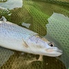 【北海道】初夏の陽気と鬼