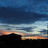 2020-08-11(Tue)