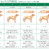 正しいﾀﾞｲｴｯﾄのしかた