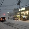 1/24 降雪