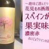 【お花見ワイン】桜を愛でながら飲む完熟ベリーの濃厚赤・ファン・ヒル【推しワイナリー紹介】