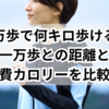 二万歩で何キロ歩ける？一万歩との距離と消費カロリーを比較！