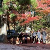 水曜会 ☆ 紅葉狩り