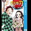 【鬼滅の刃】最終巻23巻発売。涙が止まらない感動結末！新聞広告もジャック！！（ネタバレあり）