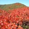 紅葉の三ツ石山