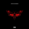  Lil Wayne / I Am Not A Human Being II