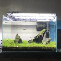 45cm 水槽 石組み レイアウト 45cm 水槽 石組み レイアウト