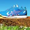 END. x ONITSUKA TIGER COLORADO 85 "Blue Bird"