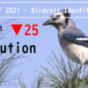【Kaggle挑戦記】鳥コンペ2(BirdCLEF 2021)銅メダル振り返り【#8】