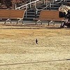 「和民」と「ミライザカ」