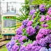 品川シーサイドで楽しく学べる個別指導塾