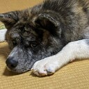 ゲンタ研究所