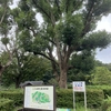 【ランログ】こども自然公園、権太坂、神奈川坂、峯坂