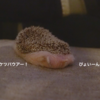 ぷりぷりからの、伸びーん＆ブロッコリースプラウトをトッピング