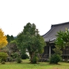 ◆天徳院、国吉神社の銀杏（いすみ市）