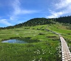 苗場山登山ルート、山小屋(山頂ヒュッテ)詳細！熊出没とワタスゲの高層湿原