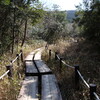 春が来た里山