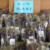 神山町から