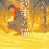 猫好きなら読みたい│村山早紀『約束の猫』の大人が読む価値