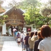 夏越の大祓の御案内