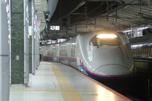 夜の東京駅新幹線色々。E2系やまびこ(代走)、E5系・E6系・E8系（一部臨時）、N700系、E7系。友情出演：E4系Max