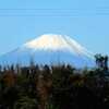 富士山がはっきり見えました