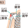 肩関節脱臼