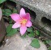 M君を見送って