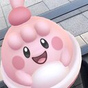 しーちゃまポケゴー探険隊