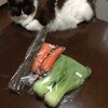 何もできない。明日の自分に期待する。