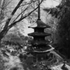 国宝探して行ってみた②。