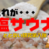 【入らなきゃ損！】塩サウナの魅力とその効果｜ととのい研究第8弾