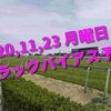 2020,11,23 月曜日 トラックバイアス予想 (東京競馬場、阪神競馬場)