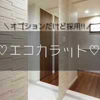 リリカラ 壁紙 採用クロスとサンプル請求の仕方 男の子兄弟ママのおうちづくり