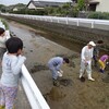 蓮葉川ギリギリ