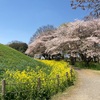 さきたま古墳公園(再訪) 行田市埼玉