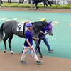 名古屋初戦はチグハグな競馬で向正面から失速９着（ノーチェ快勝おめでとうございます）