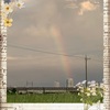 【小2と小5】夏の予定