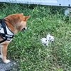 救ってくれてありがとう～良かったね！？