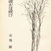 『風吹かば吹け』　北条誠