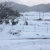 今も雪が降り続いています