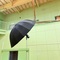 朝から撮り続けーる