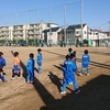 AVANTI CUP U-8