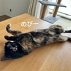 またまた包帯がすぽーんと。