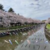 運動公園と鶴生田川の鯉のぼりを見に行ってみました＆指揮者の西本智美さん