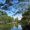 武蔵関公園_イチョウが色付いた！（東京都練馬区）